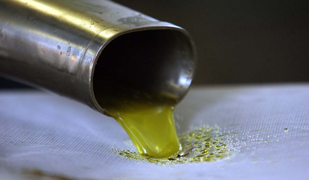 Μάστιγα οι κλοπές ελαιόλαδου σε όλη την Ελλάδα – Πολλές οι συλλήψεις και για νοθεία