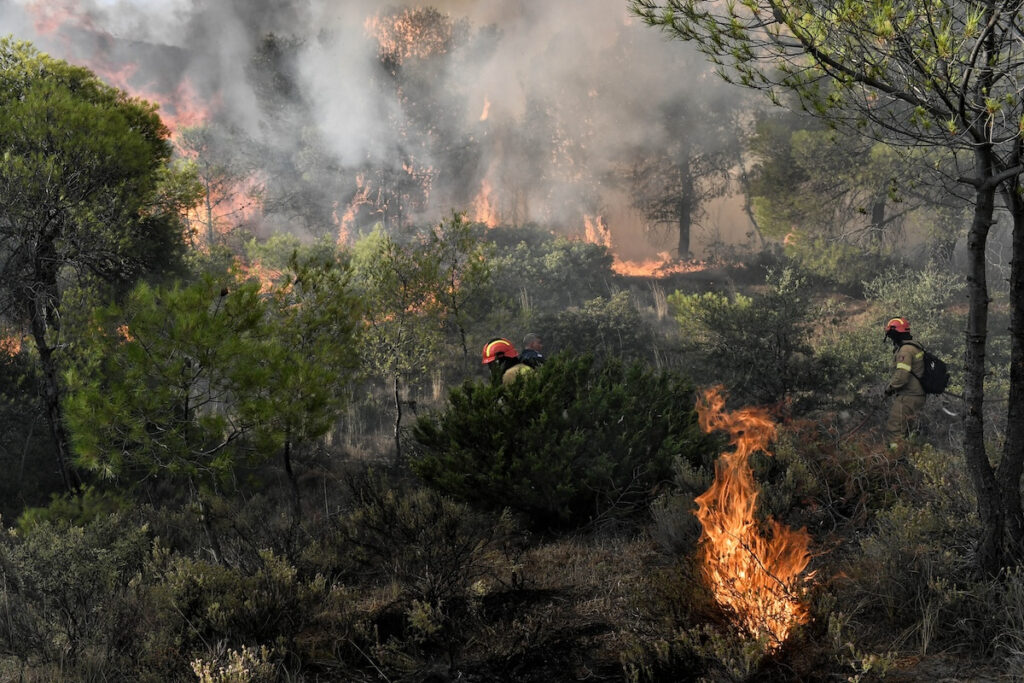 Φωτιά τώρα στη Δράμα – Καίει δάσος