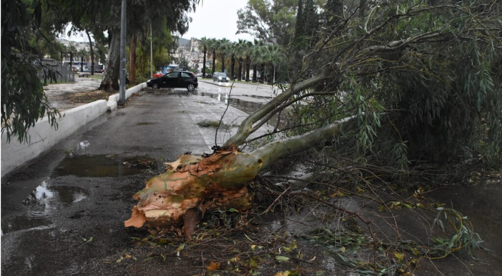 Ψυχικό: Οι ριπές ανέμου έφτασαν τα 100χλμ.- Ανάλυση Λαγουβάρδου