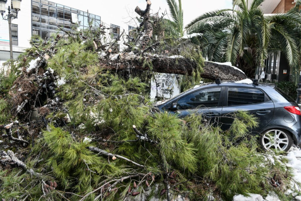 Κακοκαιρία Ελπίς: Στα 6,5 εκατ. ευρώ οι απαιτήσεις για αποζημιώσεις