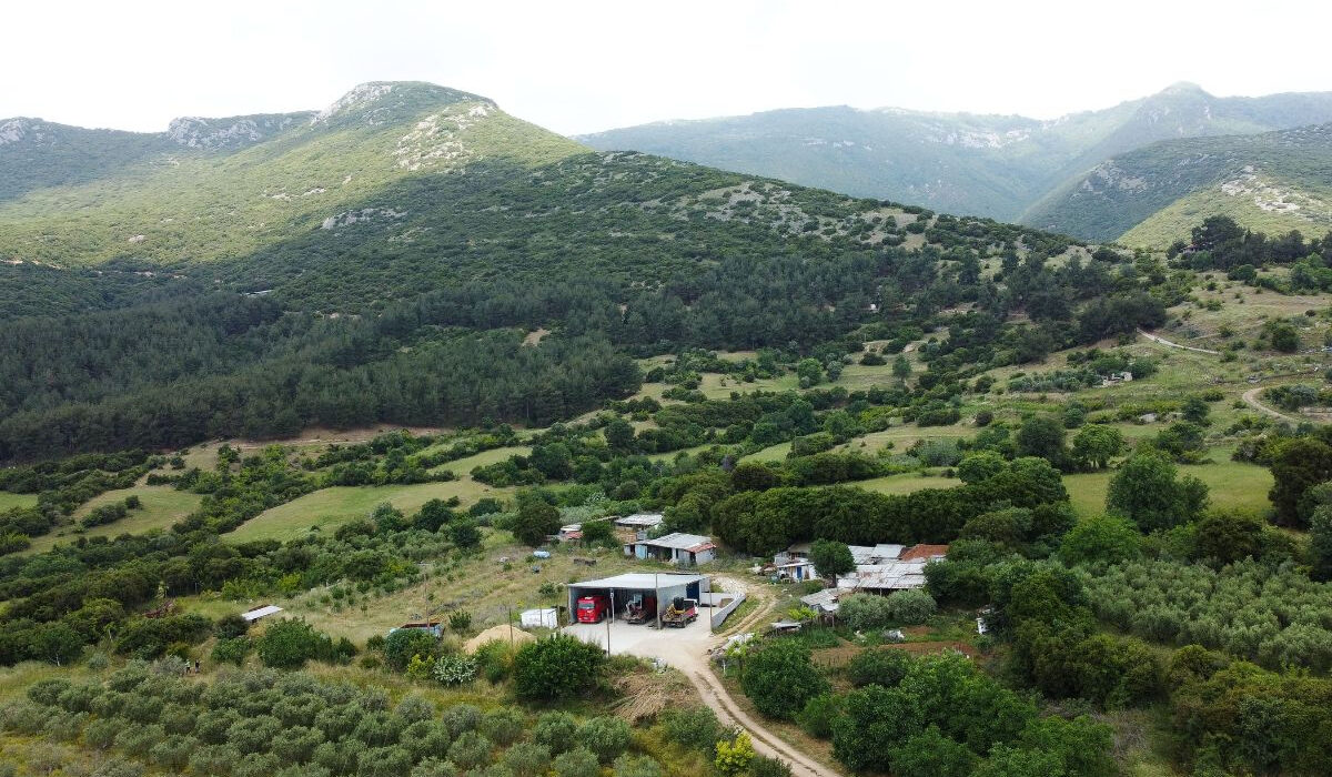 Καβάλα: Ποιος σκότωσε την 68χρονη κτηνοτρόφο; Νέα στοιχεία για το θρίλερ