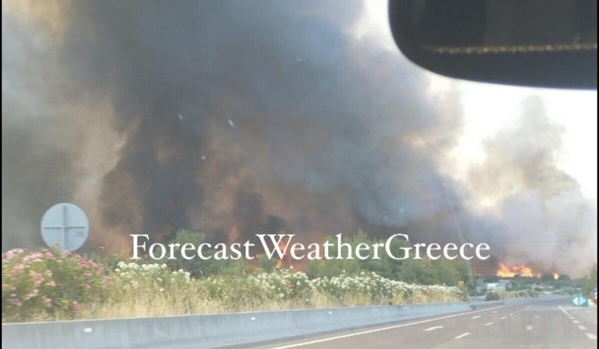 Φωτιά στην Υλίκη: Στην εθνική οδό Αθηνών Λαμίας έφτασε το πύρινο μέτωπο – Συγκλονιστικό βίντεο