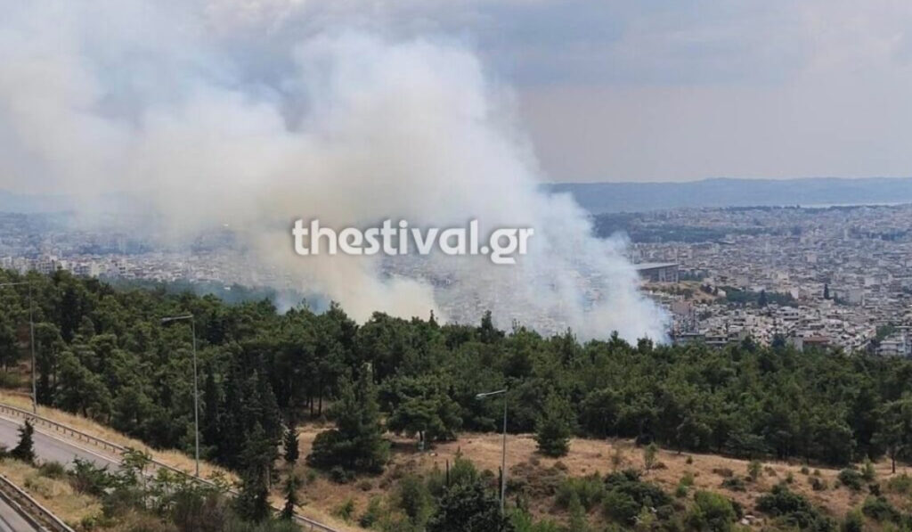 Οριοθετήθηκε η φωτιά στο δάσος του Σέιχ Σου
