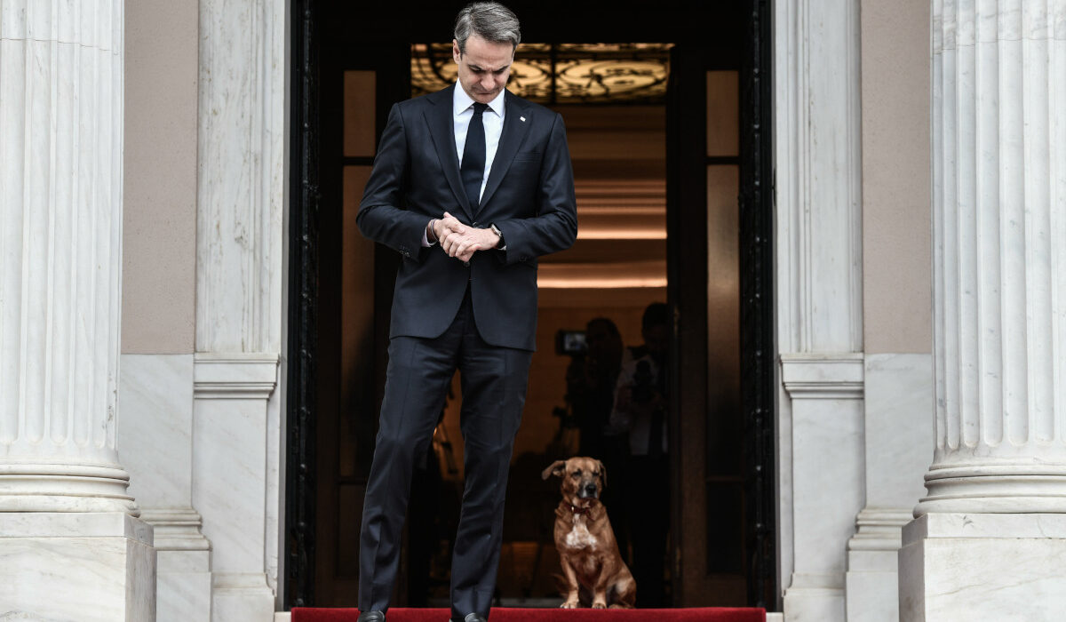 Με «Ζάρι», «Παμ!» και Πίνατ… ευρωκομματόσκυλο το νέο βίντεο Μητσοτάκη στο TikTok