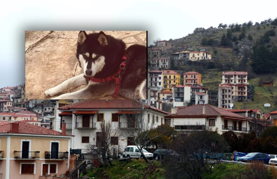 Όλιβερ: «Είναι ψυχοπαθής, πρέπει να βρούμε τον δολοφόνο», λέει ο δήμαρχος Αράχωβας
