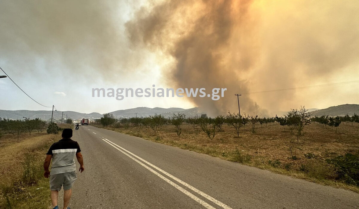 Φωτιά στη Μαγνησία: Απανθρακωμένος εντοπίστηκε ο αγνοούμενος κτηνοτρόφος