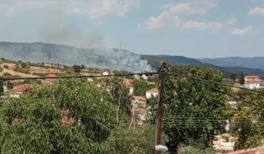 Φωτιά τώρα έξω από τη Θεσσαλονίκη – Σηκώθηκαν δύο αεροσκάφη και ένα ελικόπτερο