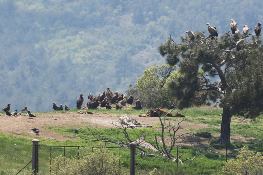 Ανοίγει η αίτηση για «Thessaly Evros Pass» στο gov.gr: Voucher για διαμονή, εισιτήρια