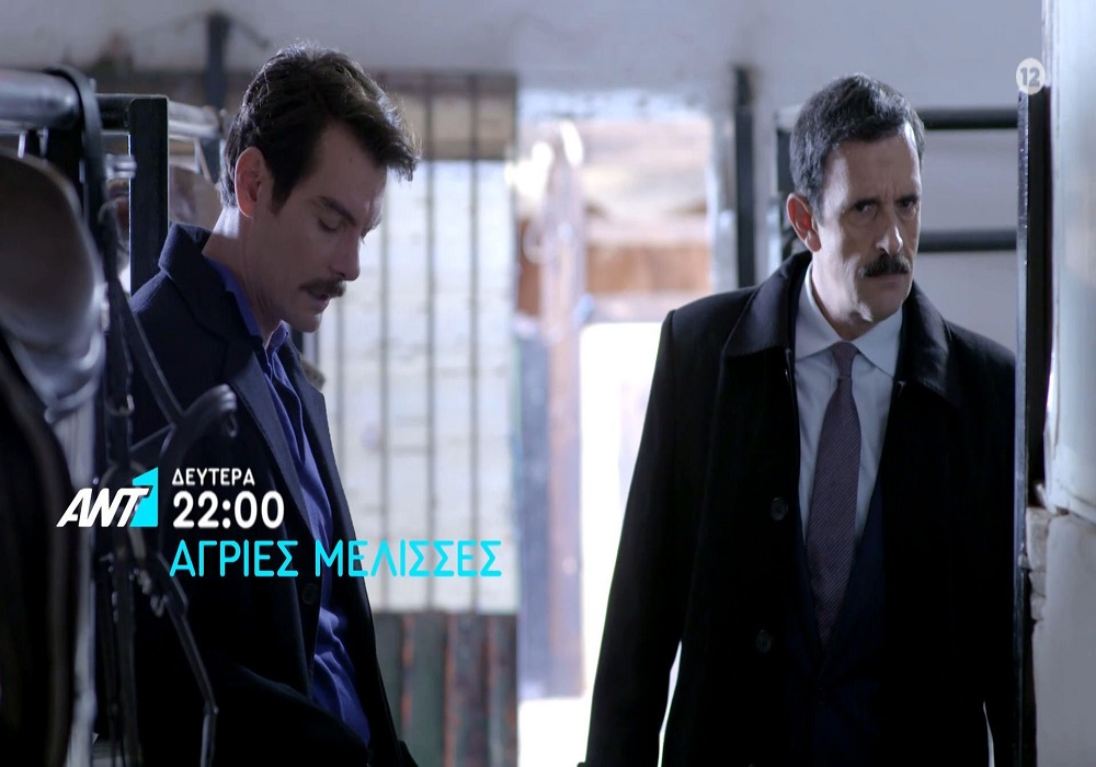 Άγριες Μέλισσες: Η ώρα μηδέν για τις αδελφές Σταμίρη έφτασε