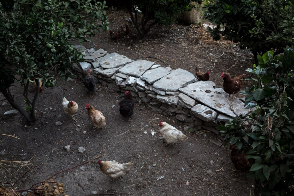 Τα… κλούβια αυγά και τα… ναυτάκια τα ζουμπουρλούδικα!