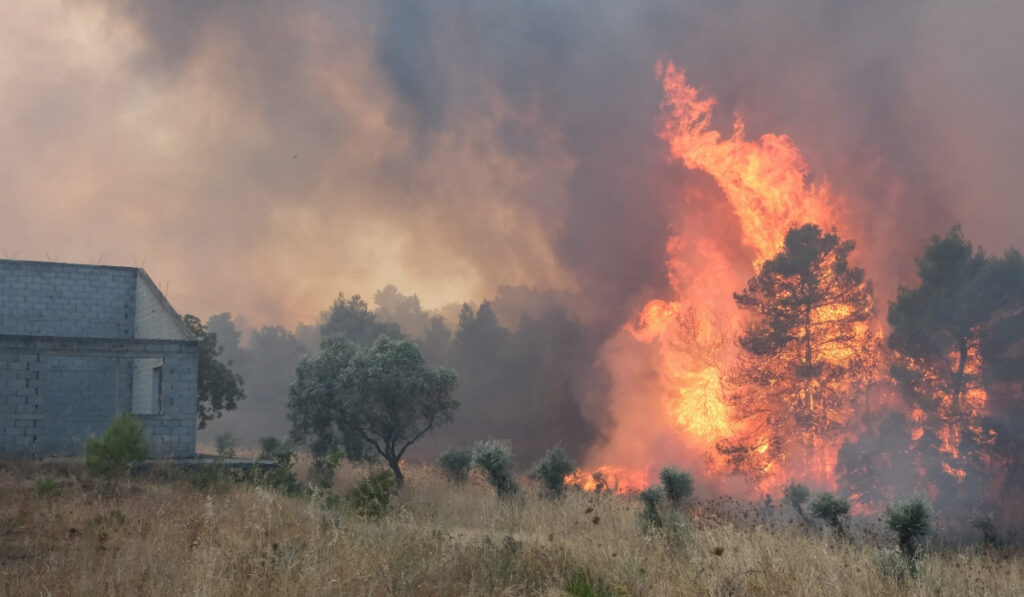 Καλύτερη η εικόνα στα Μέγαρα: Εκκενώθηκαν οικισμοί, έπεσαν οι άνεμοι