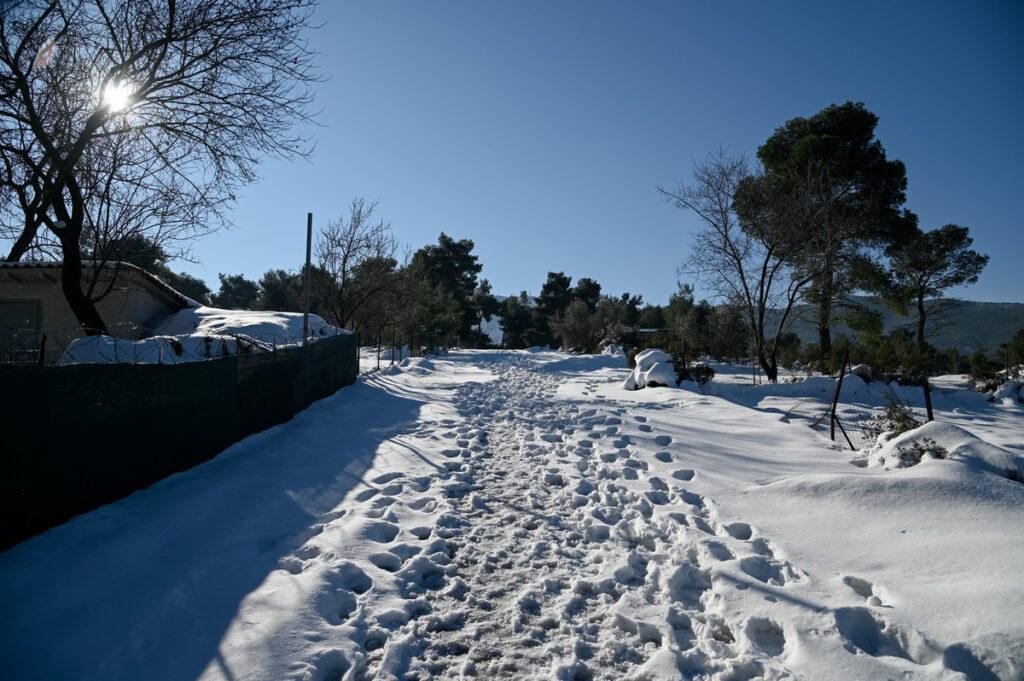 Αυτό είναι το έντυπο για βεβαίωση αδυναμίας μετακίνησης