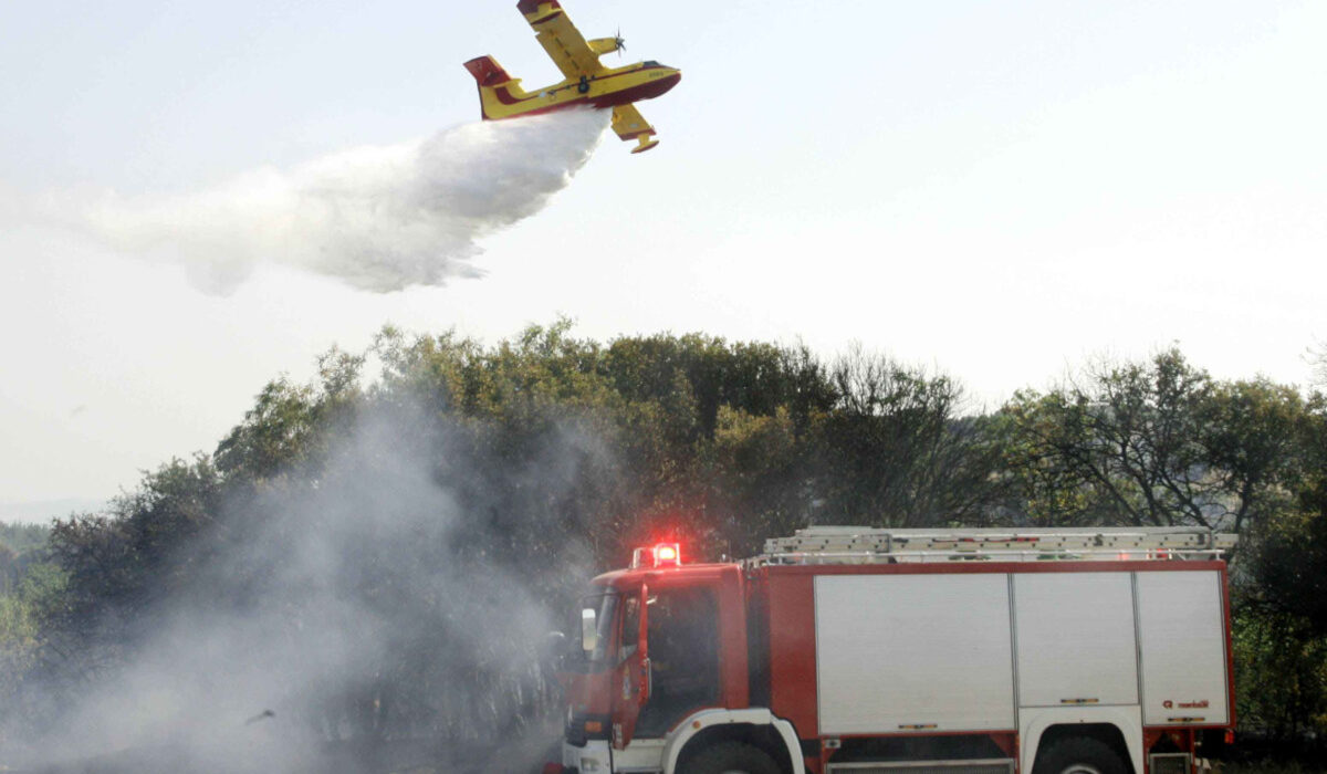 Φωτιά σε δασική έκταση στον Χορτιάτη Θεσσαλονίκης