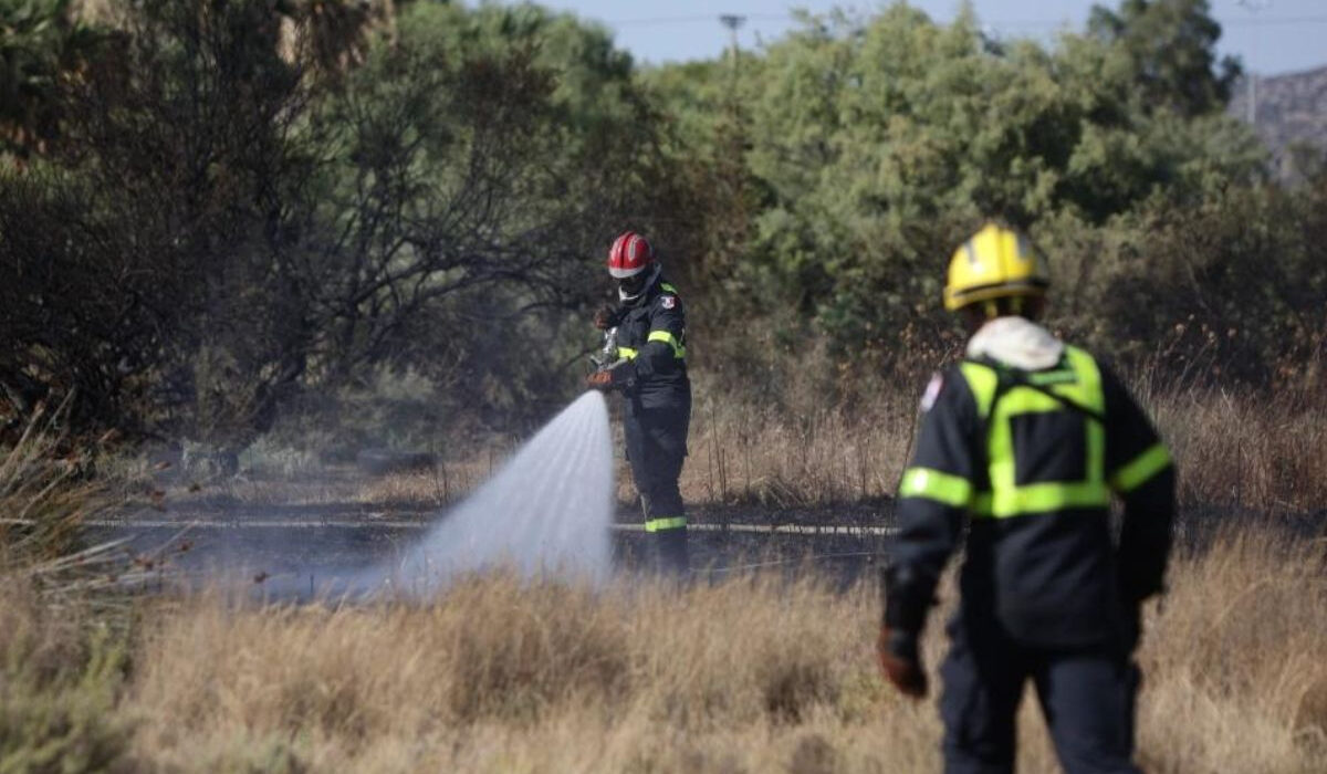 Φωτιά τώρα στην Χαλκιδική – Συναγερμός στην Πυροσβεστική