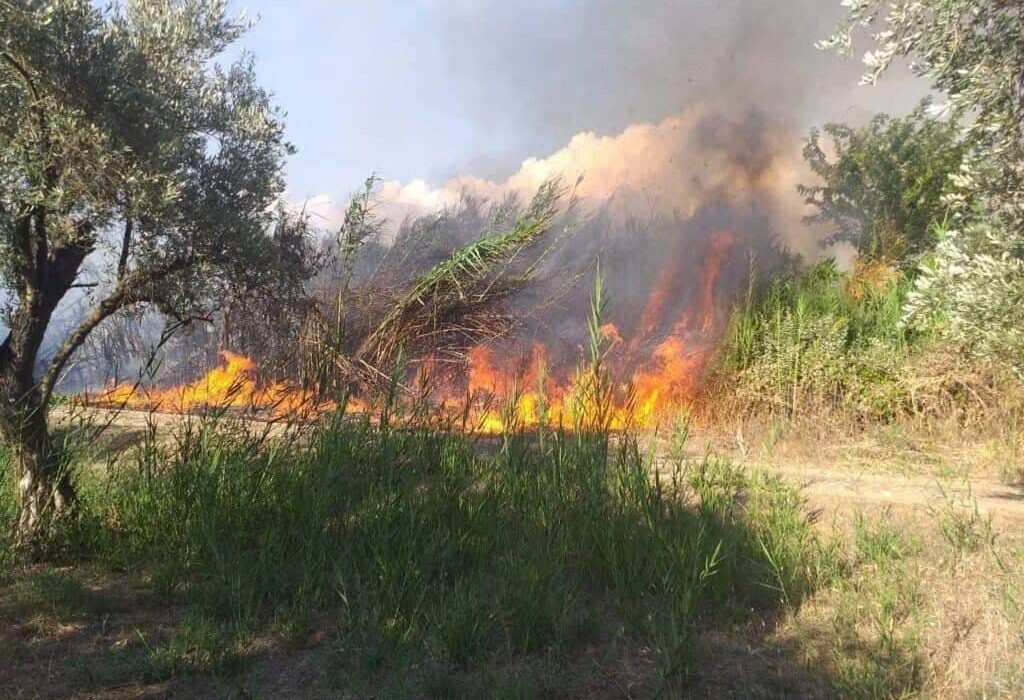 Μεγάλη φωτιά στην Αμαλιάδα – Επιχειρούν εναέρια μέσα