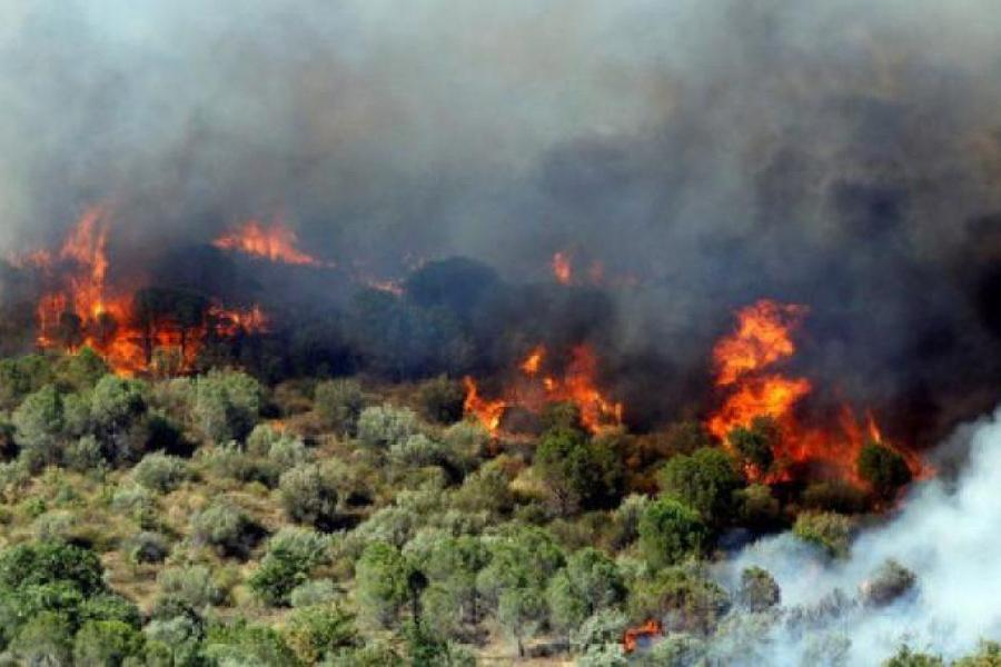 Σε συναγερμό η Πυροσβεστική – Πέντε πύρινα μέτωπα