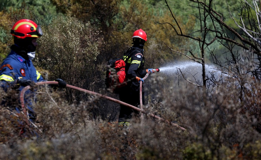 Σε ύφεση η φωτιά στην Εύβοια