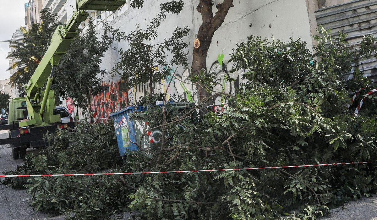 Τραγωδία σε εστιατόριο στην Πιερία: Κλαδί πλατάνου σκότωσε 44χρονη