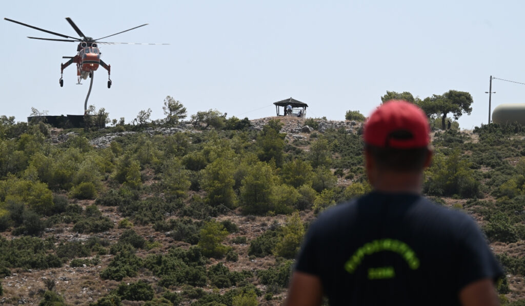 Φωτιά τώρα και στην Τανάγρα
