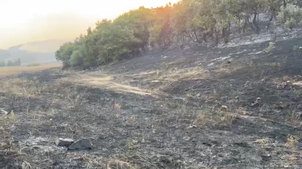 Φωτιά στην Αλεξανδρούπολη: Δεν είναι σύμμαχος ο καιρός – Η πρόγνωση για τον Έβρο