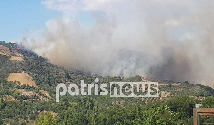 Φωτιά στην Ηλεία: Νέα πύρινα μέτωπα – Ενισχύονται οι πυροσβεστικές δυνάμεις