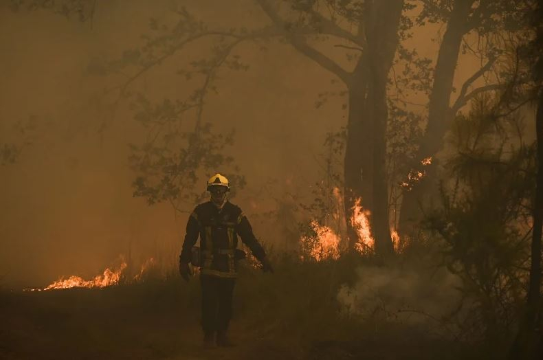 Συναγερμός από Μαρουσάκη για φωτιά – καύσωνα: Εξαιρετικά επικίνδυνες οι επόμενες ώρες – ημέρες