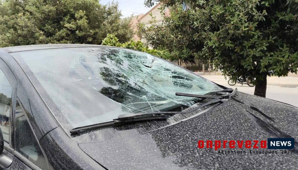 Πρέβεζα: Σοβαρός τραυματισμός 16χρονου – Προσπάθησε να γλιτώσει από αδέσποτο σκύλο και παρασύρθηκε από αυτοκίνητο
