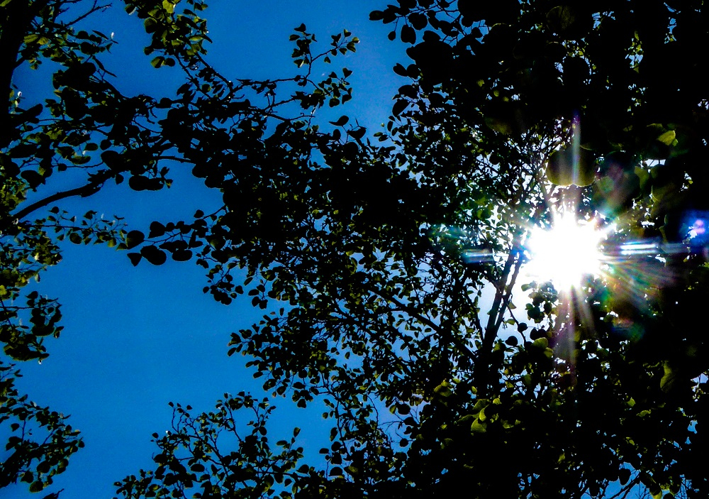 Καιρός: Πότε επιστρέφει το καλοκαίρι