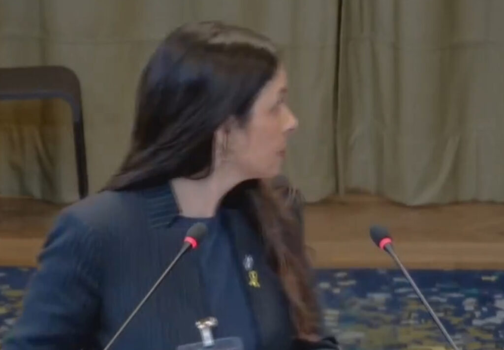 «Ψεύτες» – Οργή από διαδηλώτρια κατά Ισραήλ στο Διεθνές Δικαστήριο της Χάγης (Βίντεο)