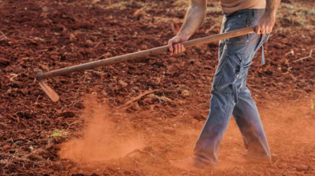 ΟΠΕΚΕΠΕ: Πλήρωσε 8,7 εκατ. ευρώ σε 2.385 δικαιούχους