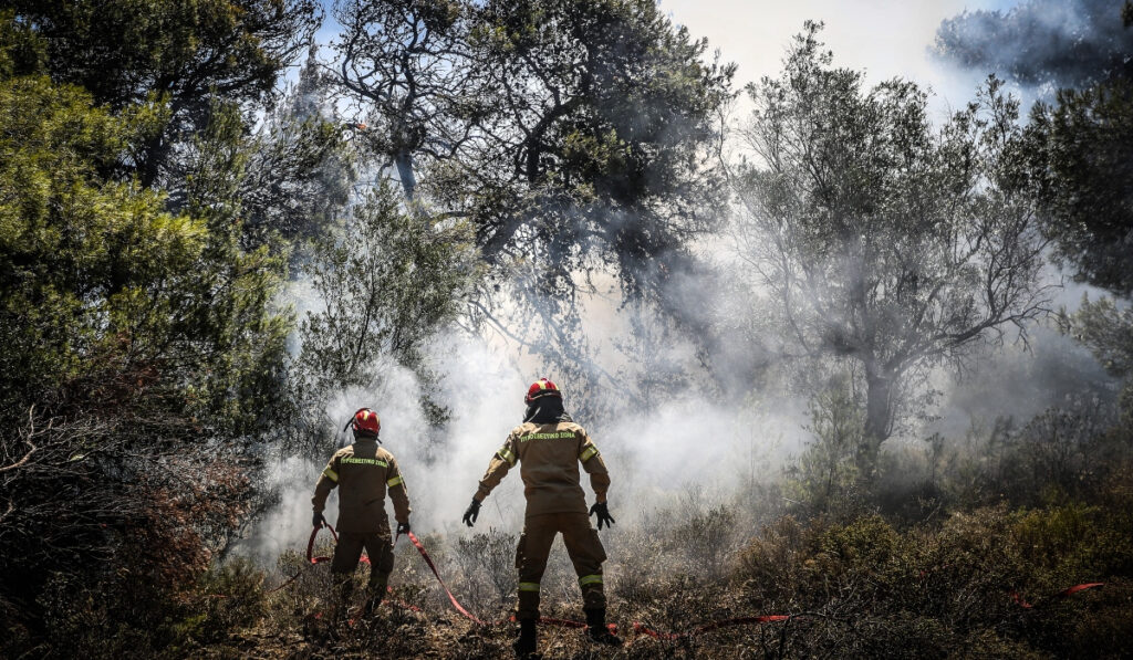 Φωτιά τώρα στο Λογγίτσι Φθιώτιδας
