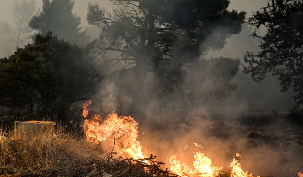 Φωτιά τώρα στην Κορυφή Ηλείας