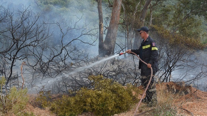 24 πυρκαγιές εκδηλώθηκαν το τελευταίο 24ωρο