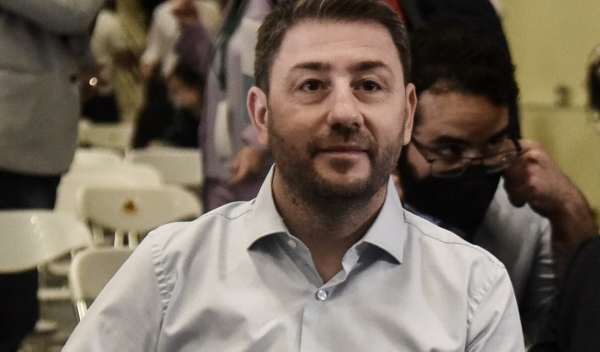 Νίκος Ανδρουλάκης: Χαλκομανία