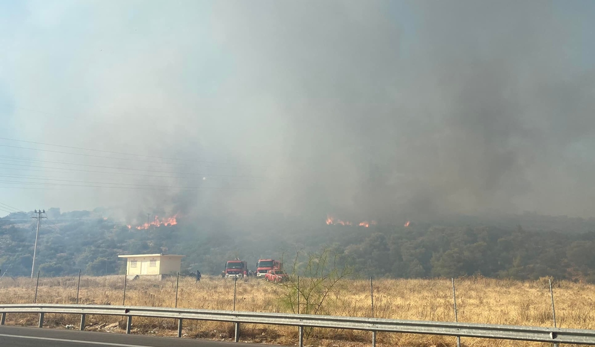 Φωτιά στην Μάνδρα Αττικής: Εκκενώθηκαν οι οικισμοί Νέα Ζωή και Νέος Πόντος – Καλύτερη η εικόνα