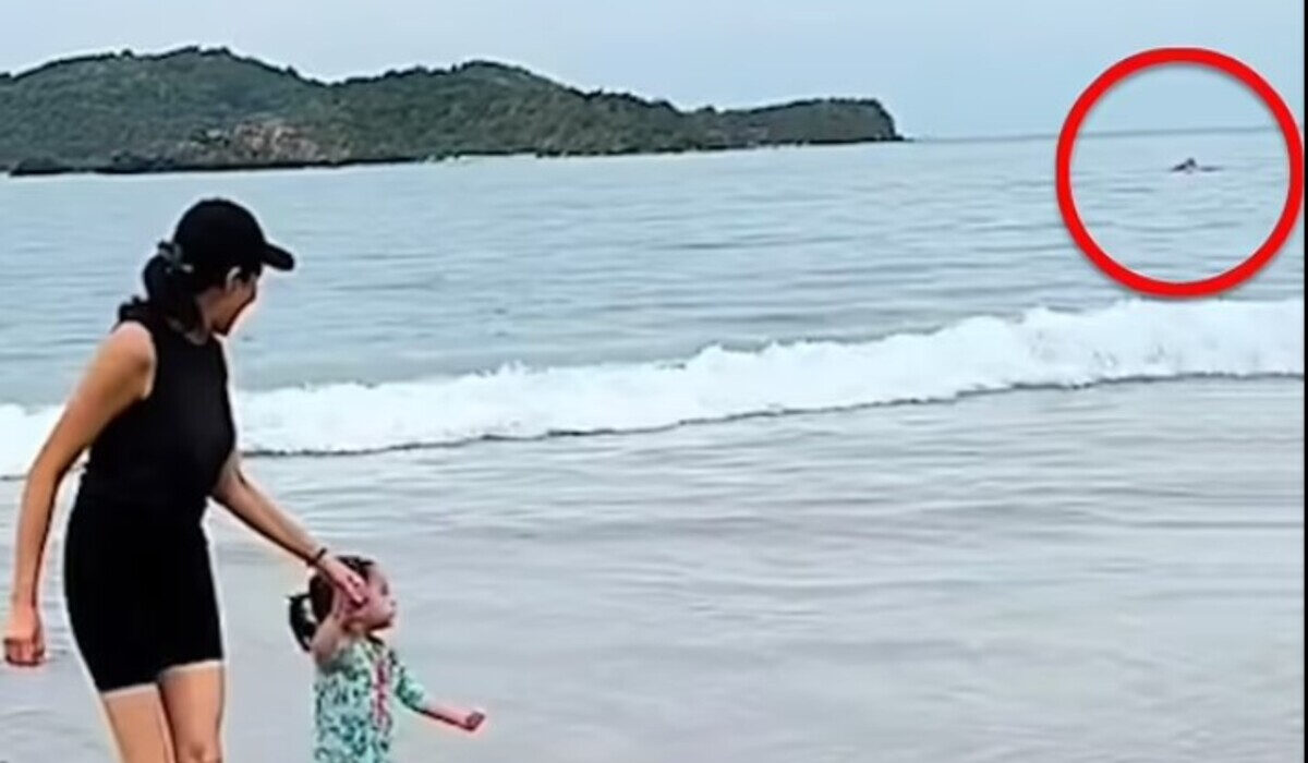 Τρομακτική στιγμή: Οικογένεια καταγράφει τυχαία θανατηφόρα επίθεση καρχαρία (Βίντεο)