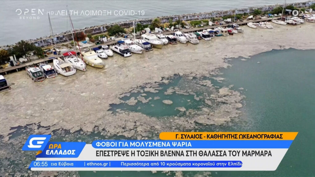 Επέστρεψε η βλέννα στη θάλασσα του Μαρμαρά – Οι αιτίες και ο κίνδυνος για το Αιγαίο