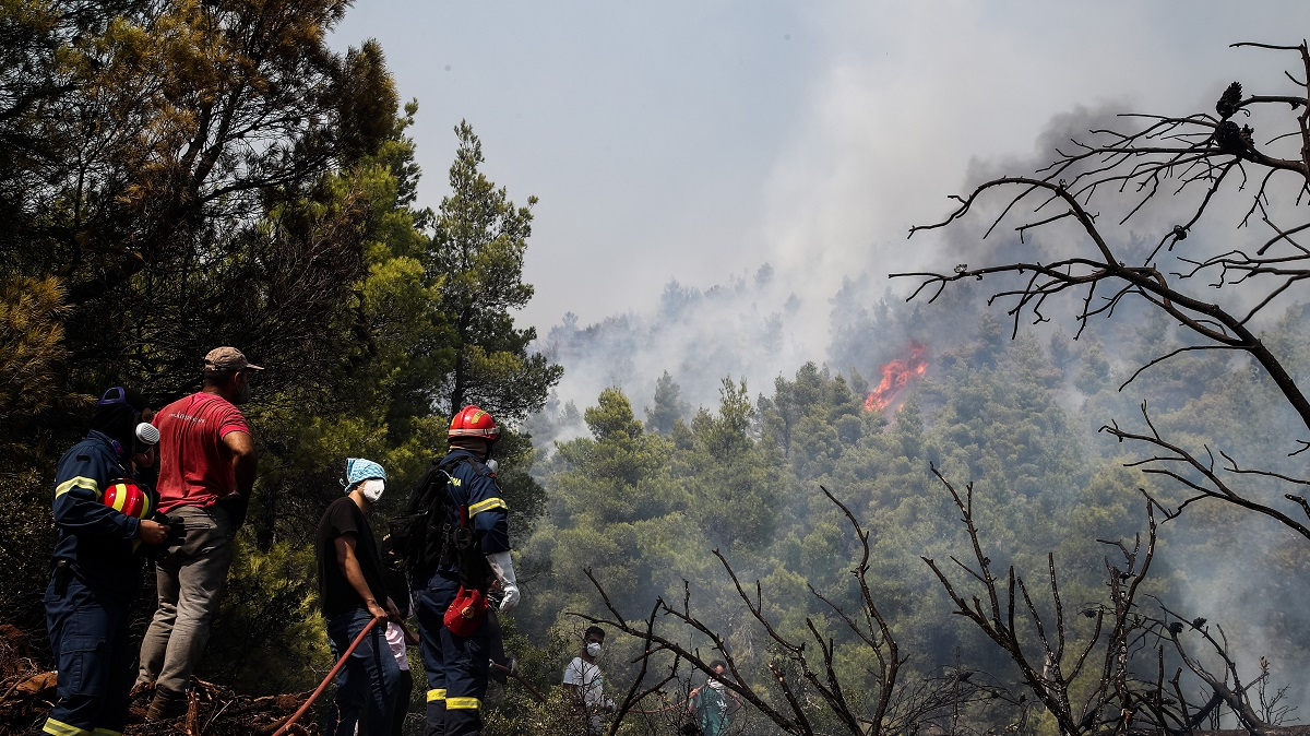 Φωτιά στα Βίλια: Ορατή από τις κάμερες του Αστεροσκοπείου στην Πεντέλη