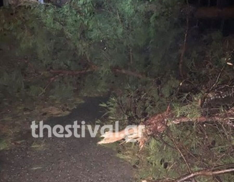 Χαλκιδική: Έξι νεκροί και 32 τραυματίες από τη θεομηνία – Ένας αγνοούμενος