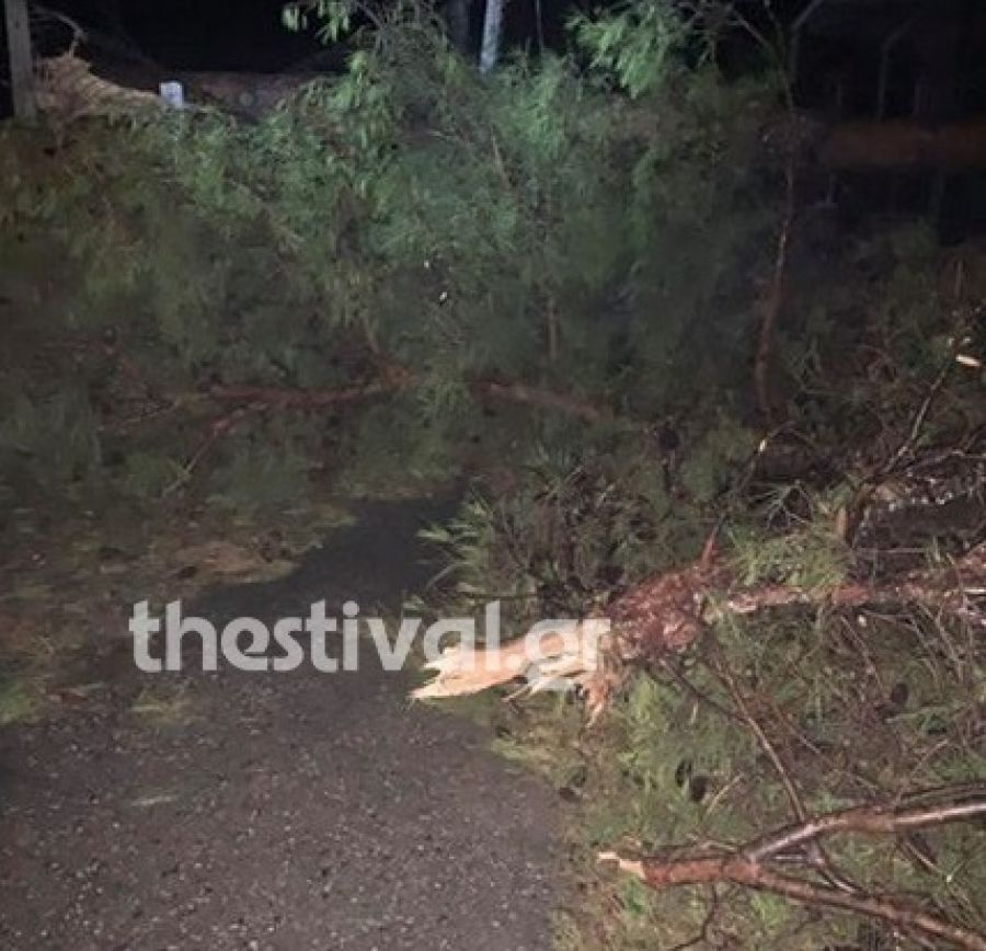 Χαλκιδική: Έξι νεκροί και 32 τραυματίες από τη θεομηνία – Ένας αγνοούμενος