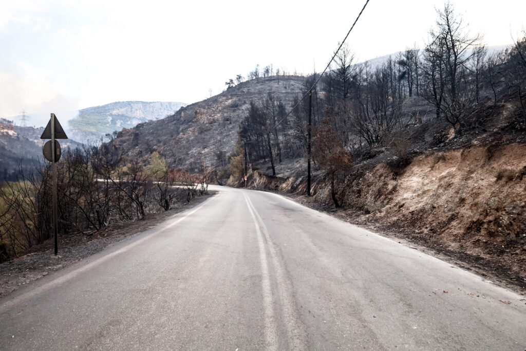 Φυλή: Εντοπίστηκε καμένο ανθρώπινο κρανίο