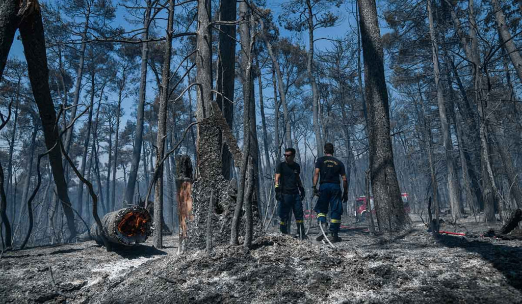 Εισαγγελική παρέμβαση για τις φωτιές  – Υπόνοιες για οργανωμένη εγκληματική δραστηριότητα