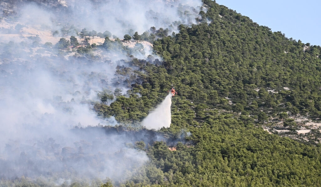 Με… 10 αναπτήρες και ένα σπρέι βρέθηκε ύποπτος στην περιοχή της Πάρνηθας