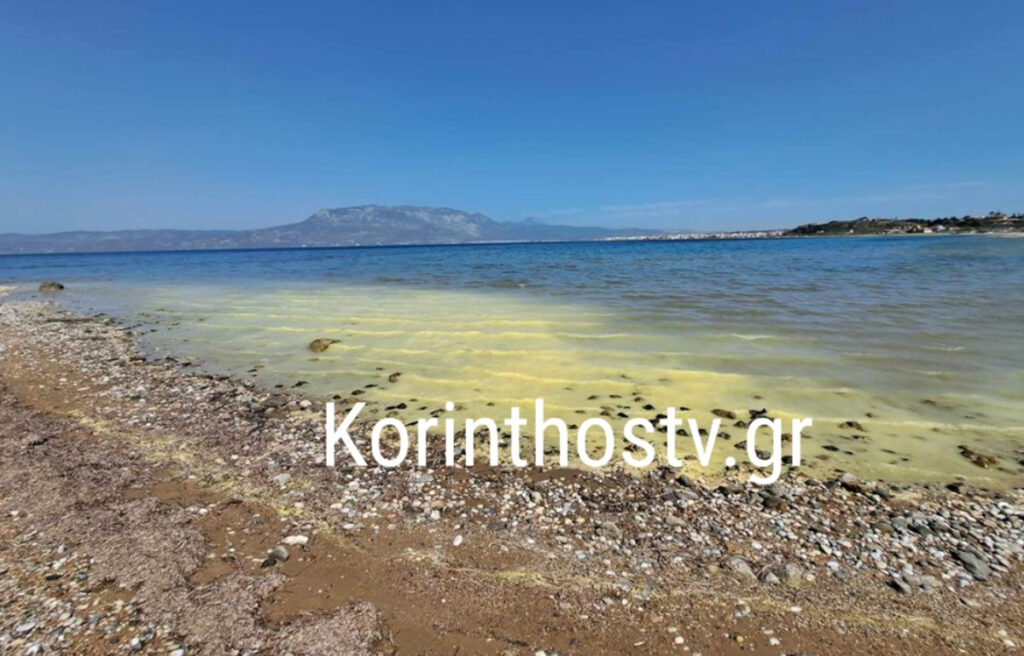 Κιτρίνισε η θάλασσα σε παραλία της Κορίνθου – Πώς εξηγείται το μυστήριο φαινόμενο