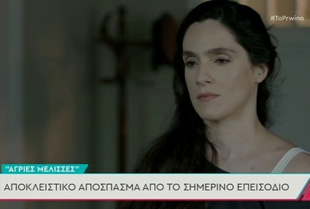 Άγριες Μέλισσες: Η ώρα των μεγάλων ανατροπών έφτασε