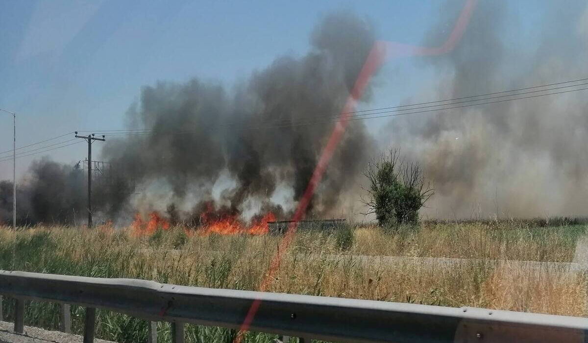 Φωτιά τώρα στον παράδρομο της Αθηνών – Λαμίας