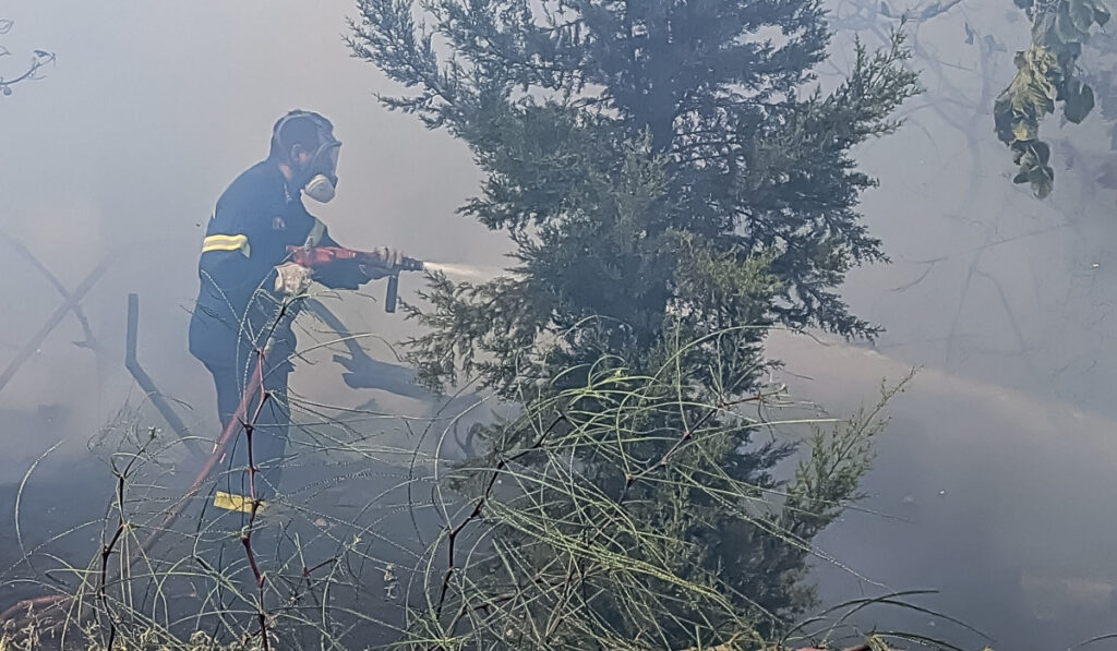Φωτιά τώρα στις Ερυθρές Αττικής