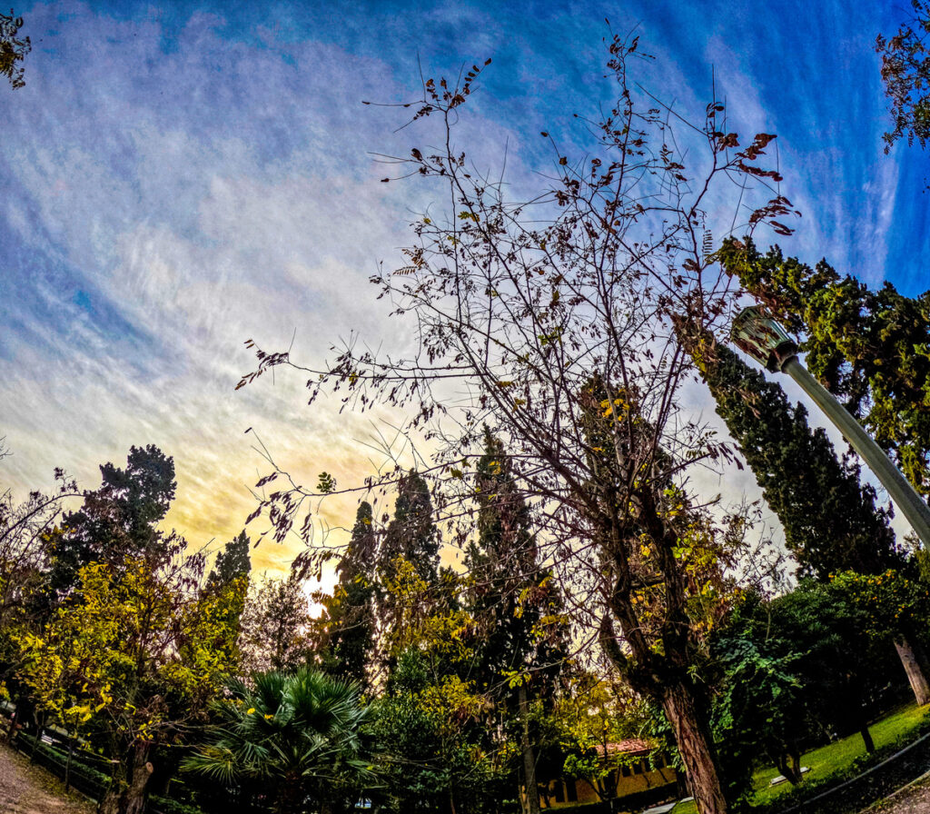 Meteo: Άνοδος της θερμοκρασίας την Τρίτη 12/12 – Ο καιρός σε όλη τη χώρα