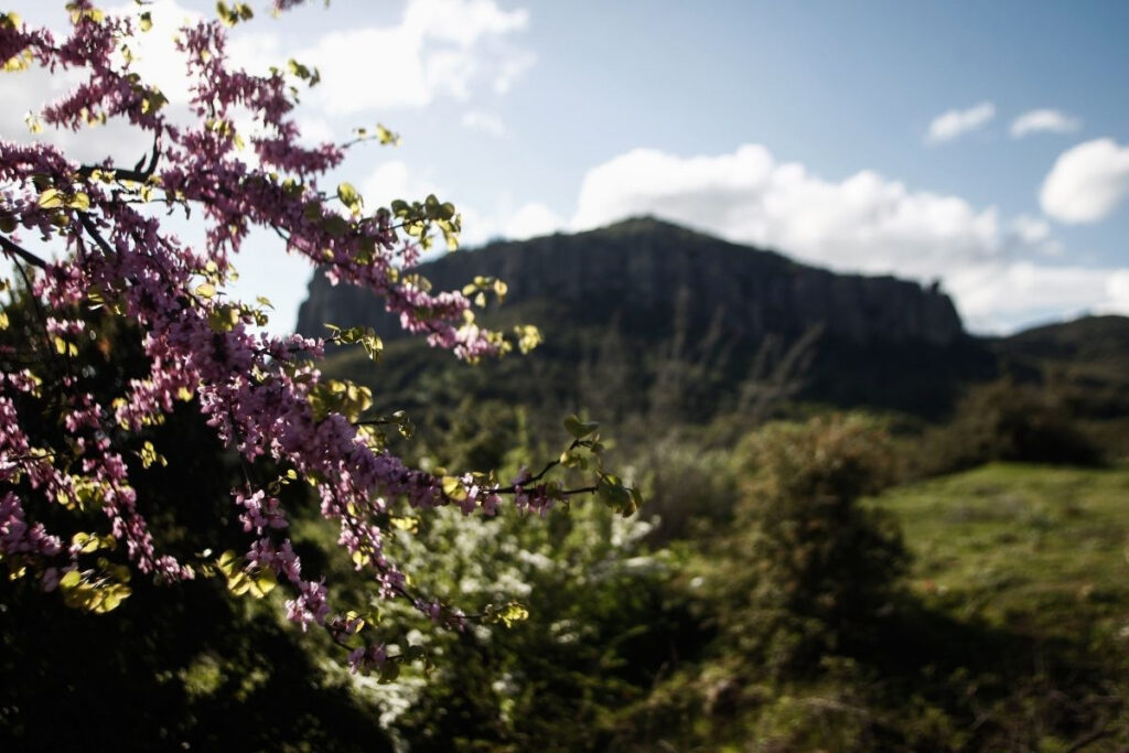 Kαλοκαιρία σήμερα σε όλη τη χώρα – Πού θα «αγγίξει» ο υδράργυρος τους 25 βαθμούς