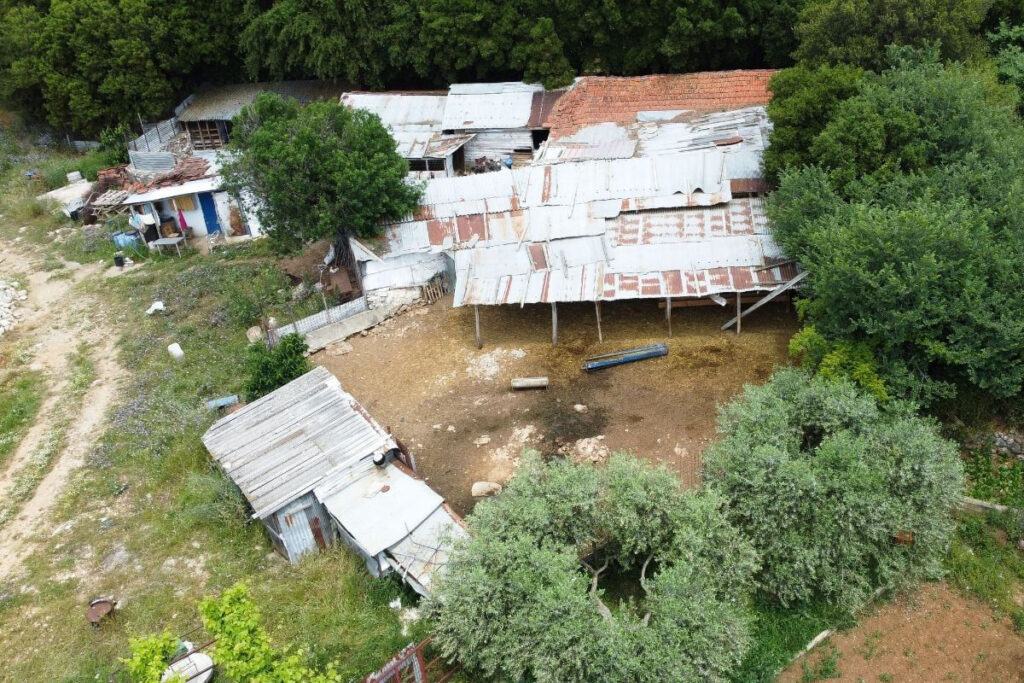 Καβάλα: Το πιο πιθανό σενάριο για τον θάνατο της 68χρονης στο μαντρί